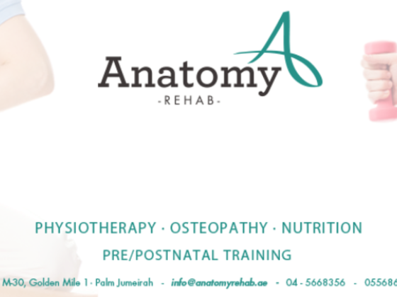 Anatomy Physical Medicine And Rehabilitation Center