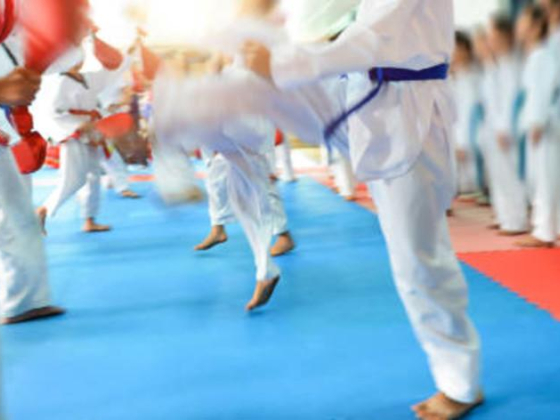 IFK Karate Center