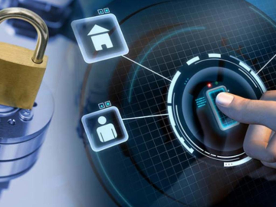 Mindlabs Technologies