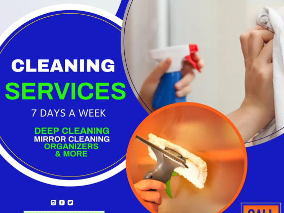 Palinis Cleaning & Technical Services