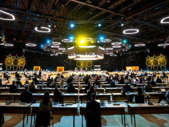 Sharjah Meeting Room