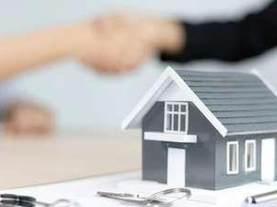 Easy Move Real Estate