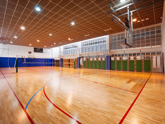 Mammoth Sports And Leisure Industries