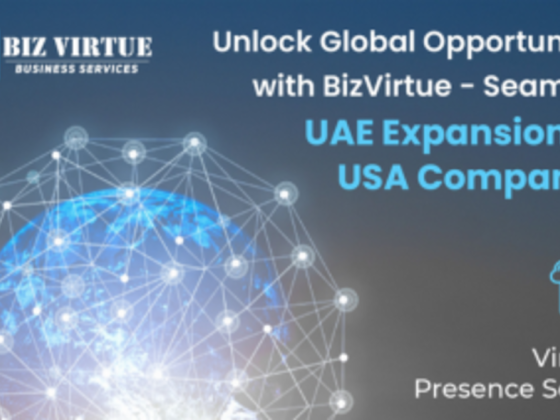 Biz Virtue Business Services