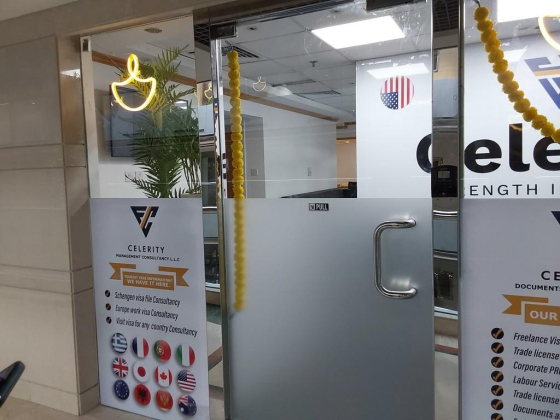 Celerity Management Consultancy