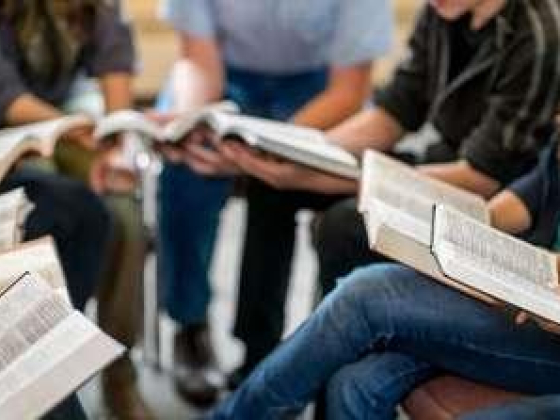 NEXT Education Group (NXT Management Training)