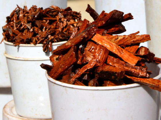 Muna Alfalasi for Agarwood & Incense Trading