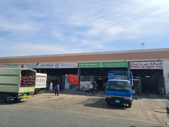 Fresh Fruits Company Vegetables And Fruit Trading