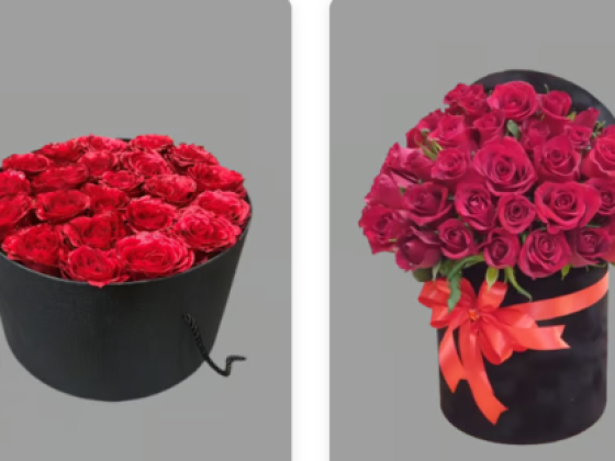 Choco Ward Al Dar Flowers & Ornamental Plants Trading