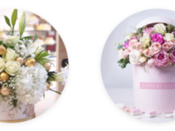 Choco Ward Al Dar Flowers & Ornamental Plants Trading