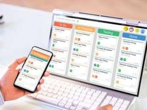 Golden Vision Project Management Services