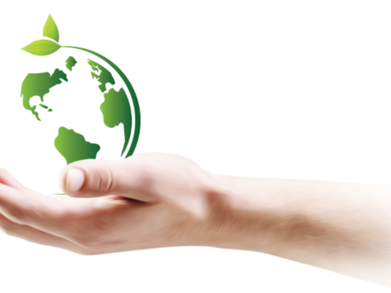 Pinnacle Green Enterprises Dmcc