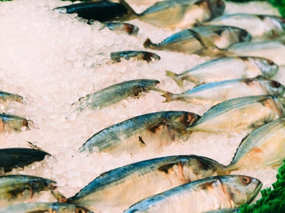 Sea World Fish Processing