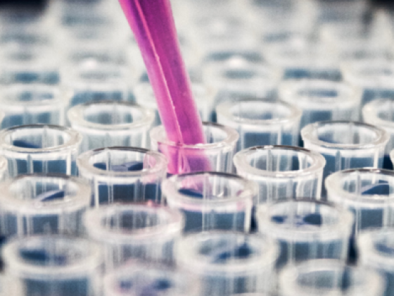 Medscience Healthcare