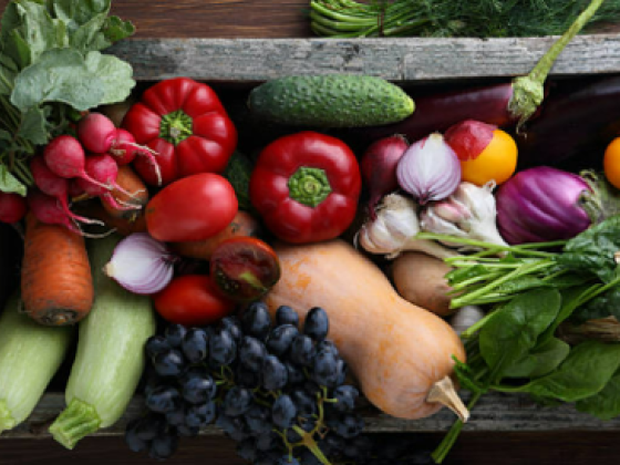 Al Fawakeh Almahlya Ayjhama Vegetables & Fruit Trading