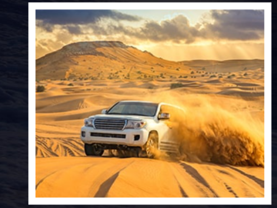 Nafkha Travel And Tourism L.l.c