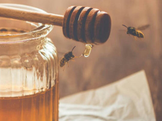 Asrar Al Nahel Honey And Herbs Trading