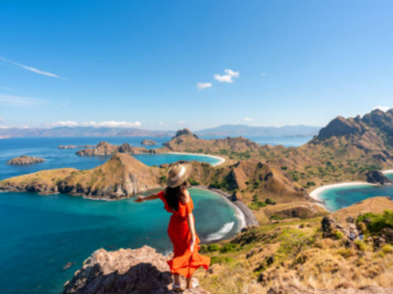 Spread Wings Tourism