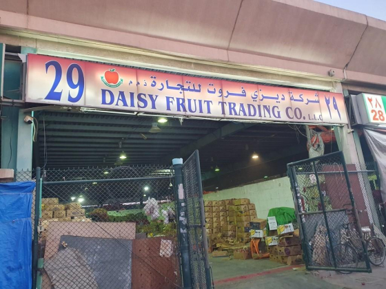 Daisy Fruit Trading