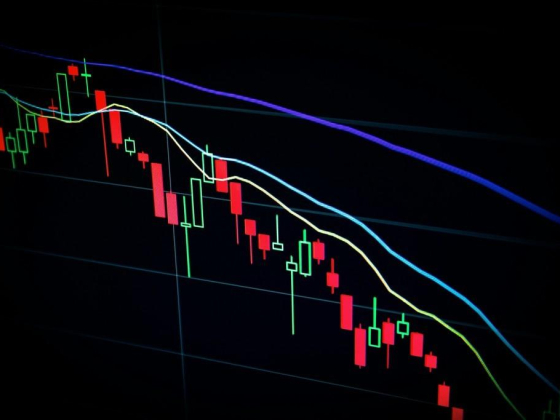 Enlightened Minds Investment
