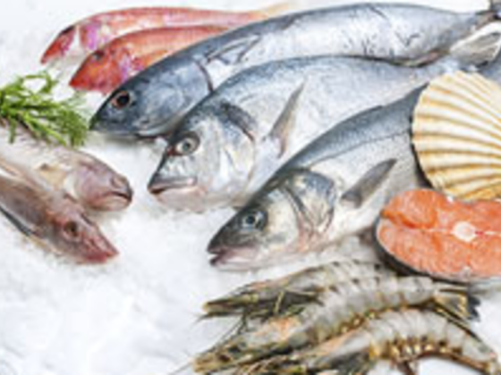 Fresh Spring Foodstuff Trading