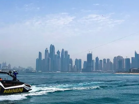 Sea Wake Water Sports
