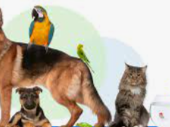 Mcwild Pet Hypermarket - Aflaj Pet