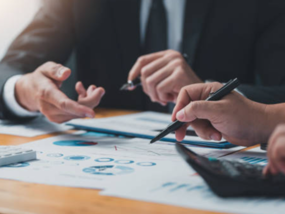 Flybiz Business Consultation