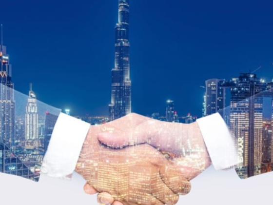 Flybiz Business Consultation