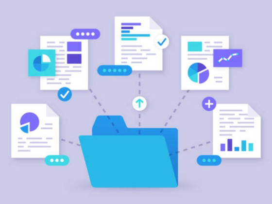 Shamsher Ahmad Documents Clearing Services