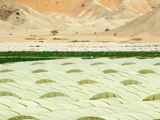 Gulf Hydroponic Agriculture Services