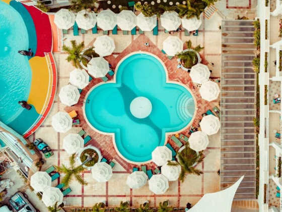 Serpentine Swimming Pools Installation