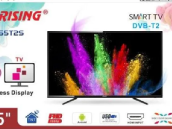 Rising Electronics