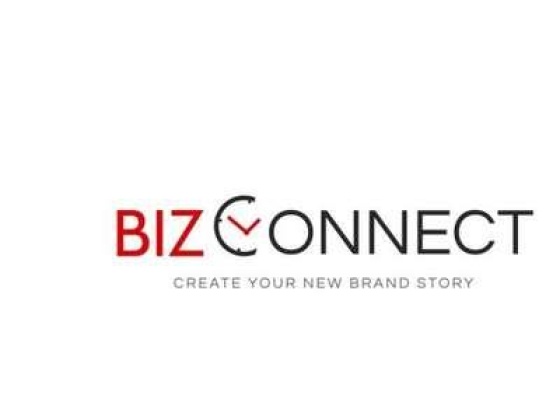 Biz Connect Management Consultancy