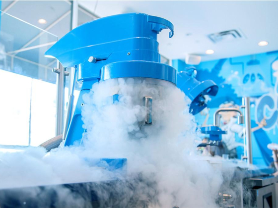 The Ice Cream Lab