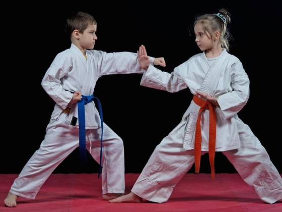 Ultimate Karate Center