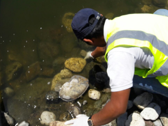 Alpha Environmental Solutions