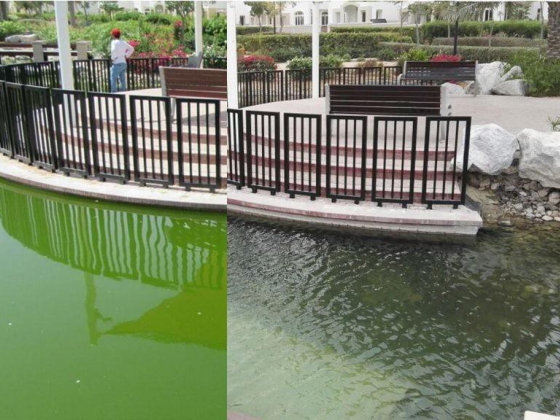 Alpha Environmental Solutions