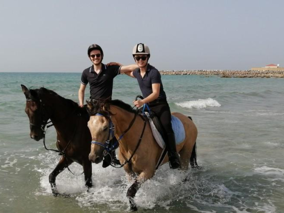 Al Dhabi Horses And Camels Rental