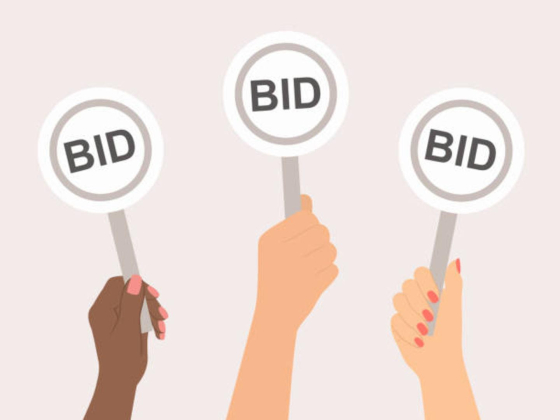 Alnahr Carz Auctions Organizing
