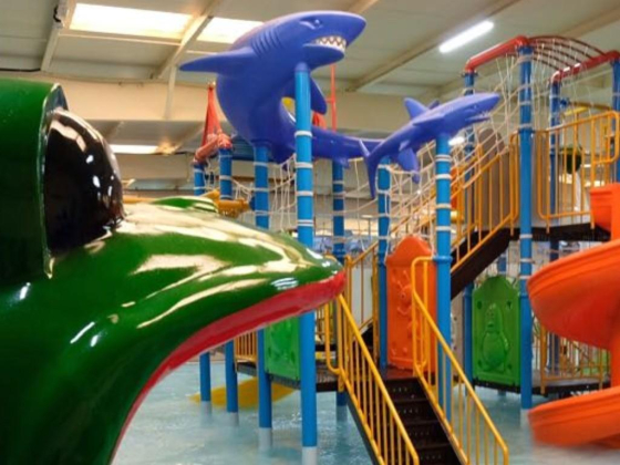 Blue Wave Swimming Training Services