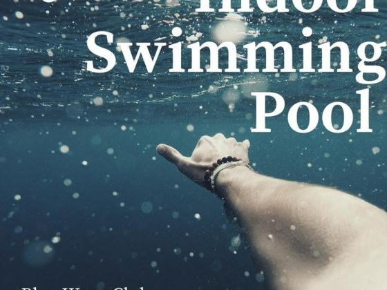 Blue Wave Swimming Training Services