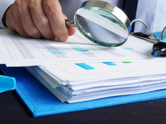 Think Biz Management Consultancies