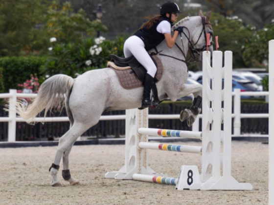 Paragon Equestree Club