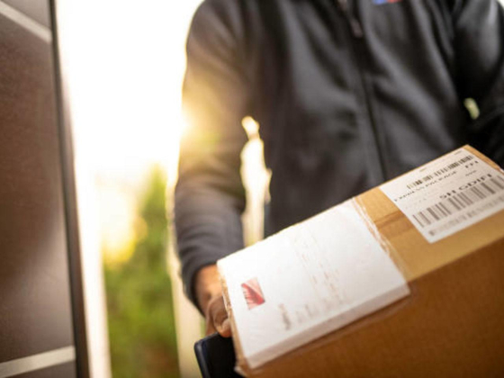 Care Ocean Logistics