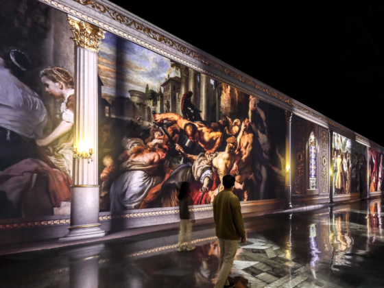 Arte Museum Laser & Lights Shows L.l.c
