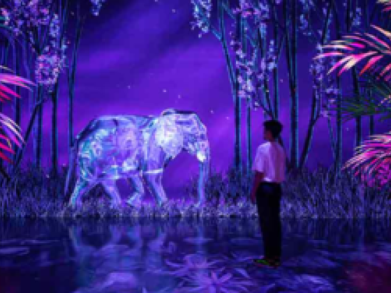 Arte Museum Laser & Lights Shows L.l.c