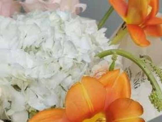 Joie De Vivre Flowers