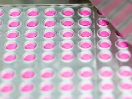 Acino Pharmaceuticals