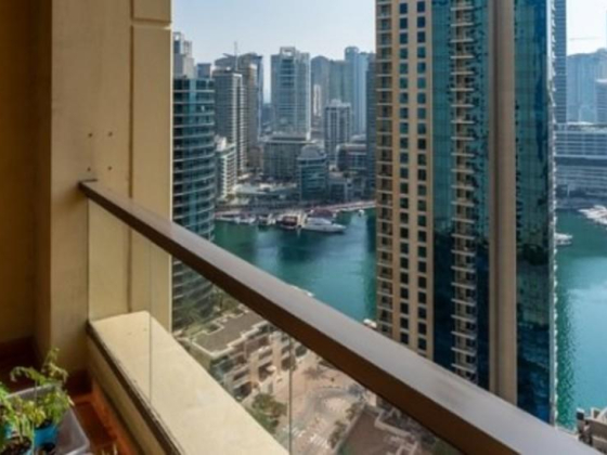 FDG Properties